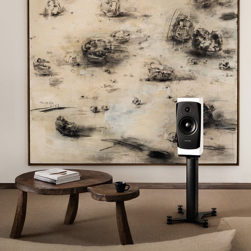 Confidence 20A - HiFi DE