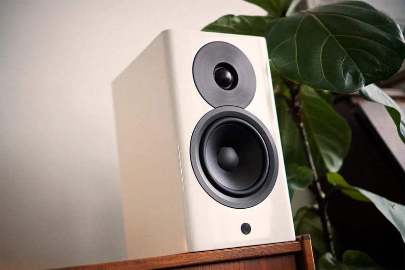 Focus 10 - Addicted To Audio