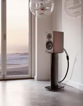 dynaudio-special-40-lifestyle-grey-birch-01-1