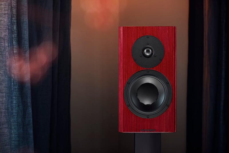 Special Forty – TONEAudio