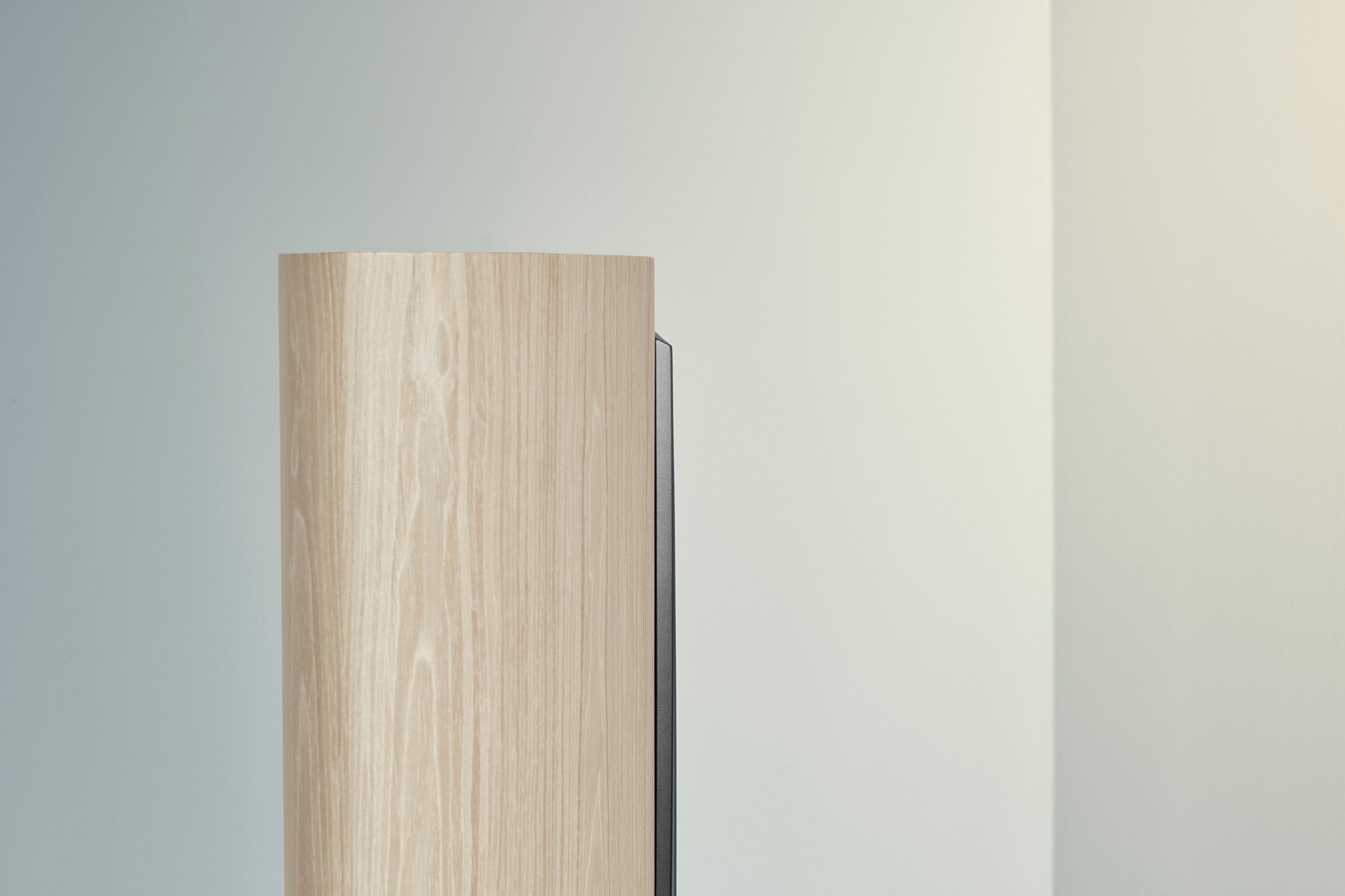 Dynaudio Confidence 30 - Blonde Wood 05