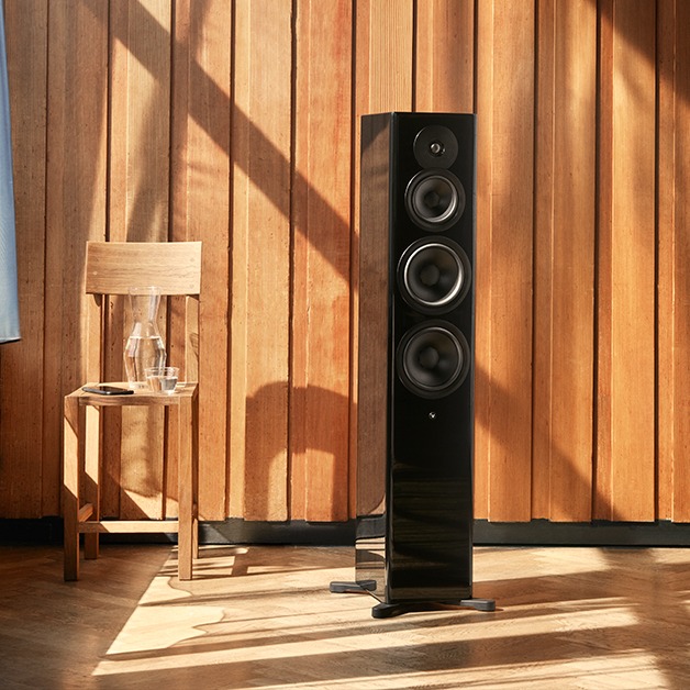 Focus 50 - TONEAudio